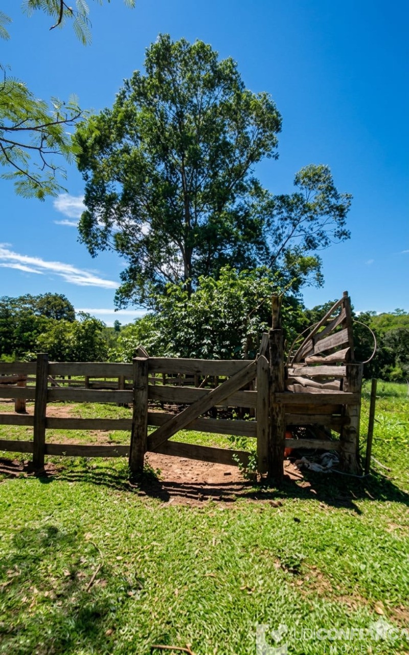 Fazenda - Foto 3