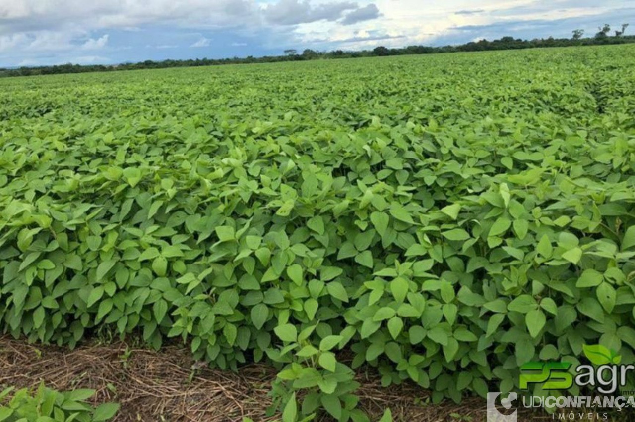 Fazenda - Foto 9