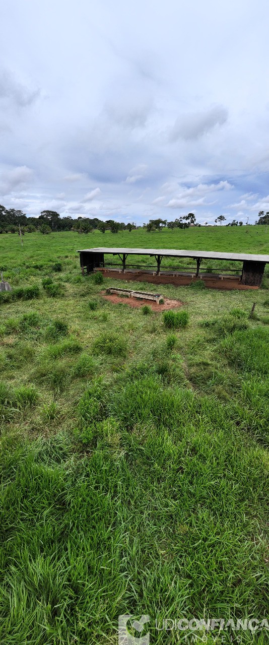 Fazenda - Foto 3