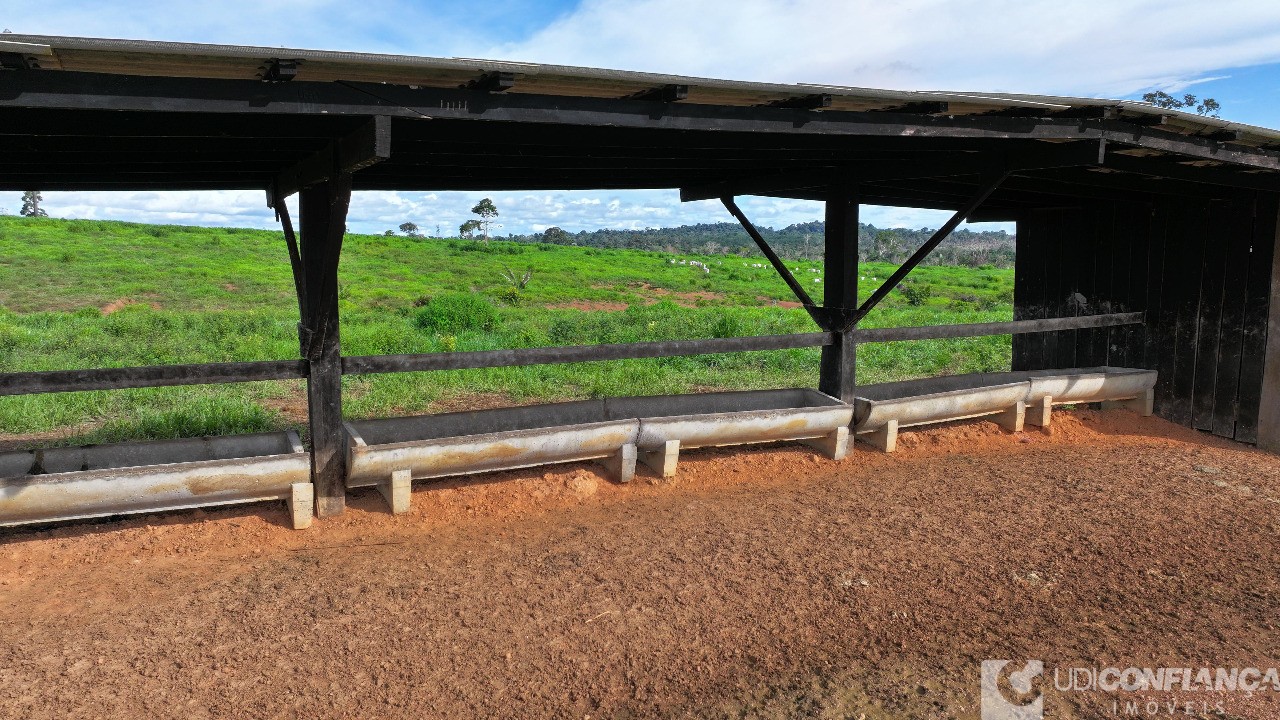 Fazenda - Foto 5