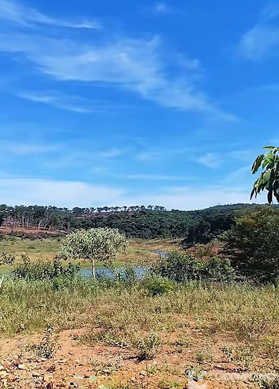 Chácara - Foto 6