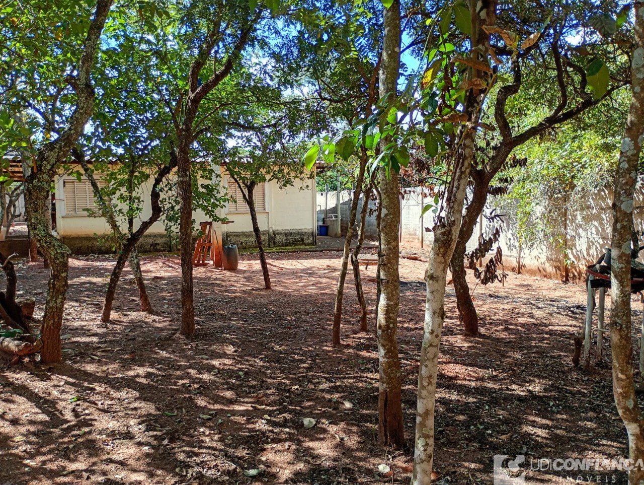 Terreno - Foto 3