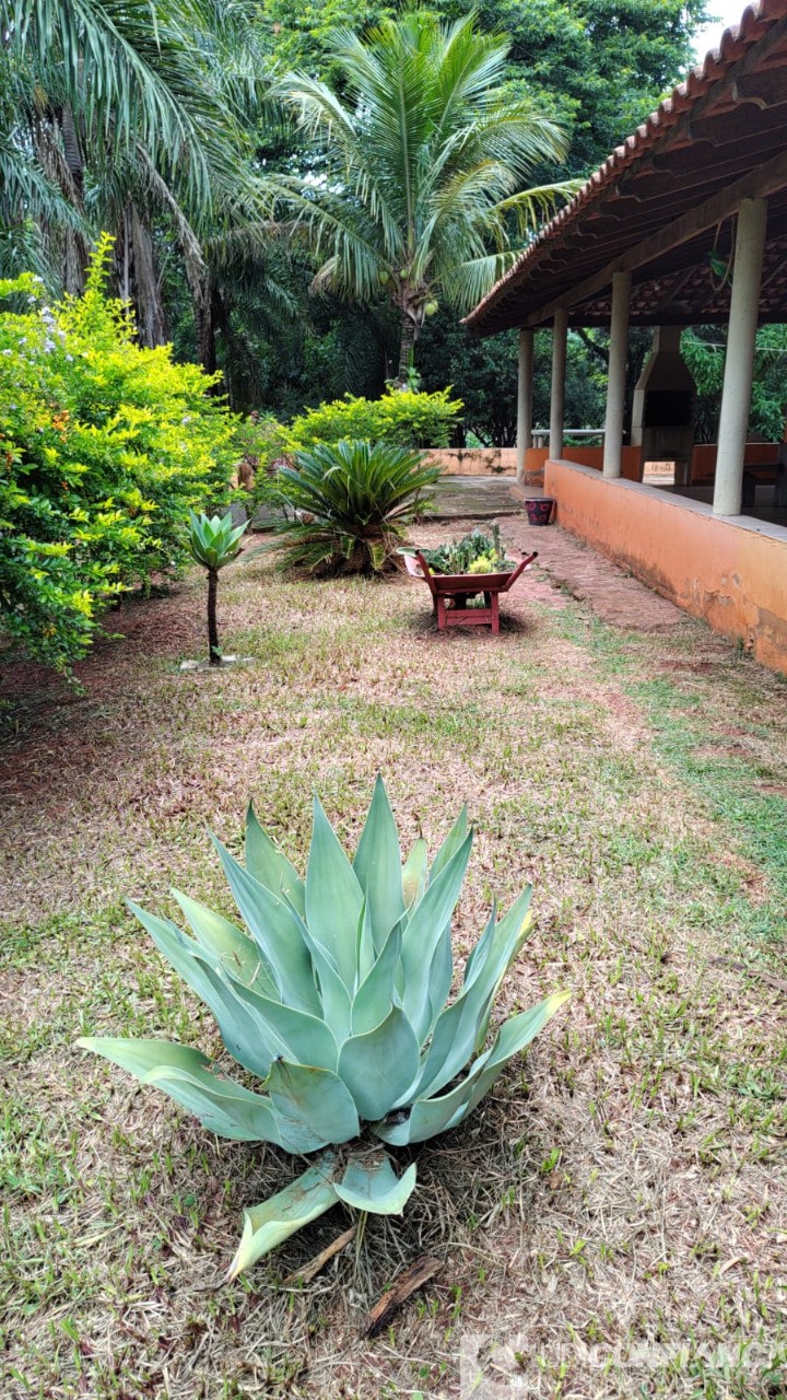 Chácara, 3 quartos - Foto 3