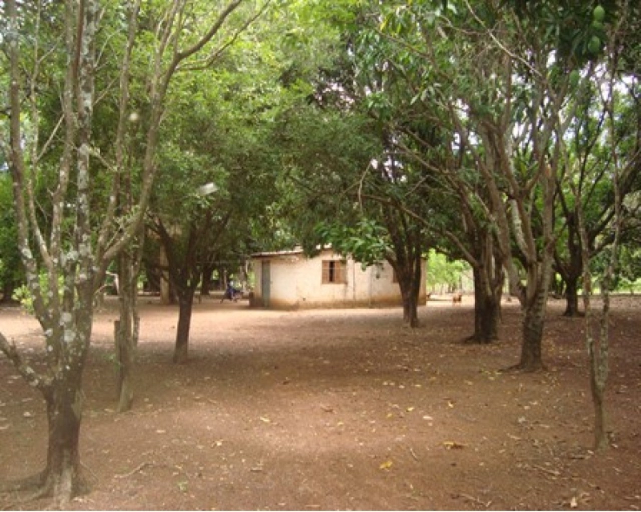 Chácara, 1 quarto, 1 m² - Foto 5