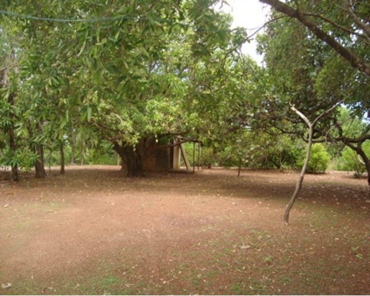 Chácara, 1 quarto, 1 m² - Foto 7