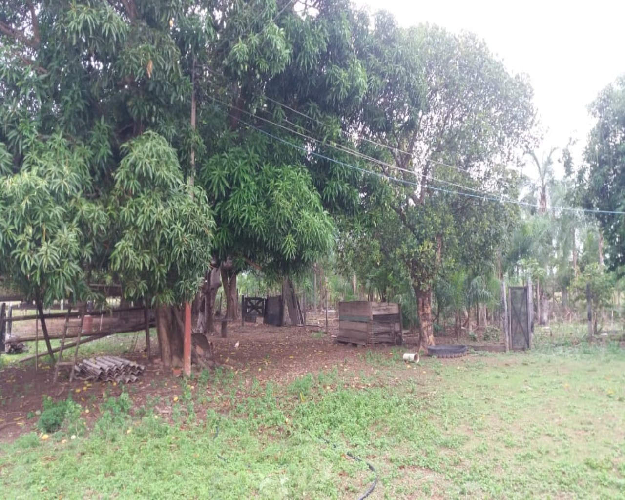 Chácara, 3 quartos, 50 m² - Foto 17