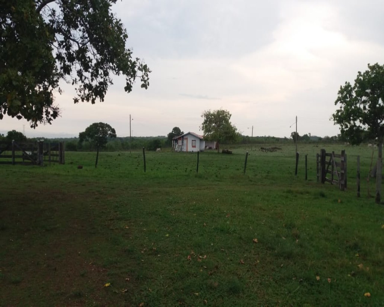 Chácara, 3 quartos, 50 m² - Foto 20
