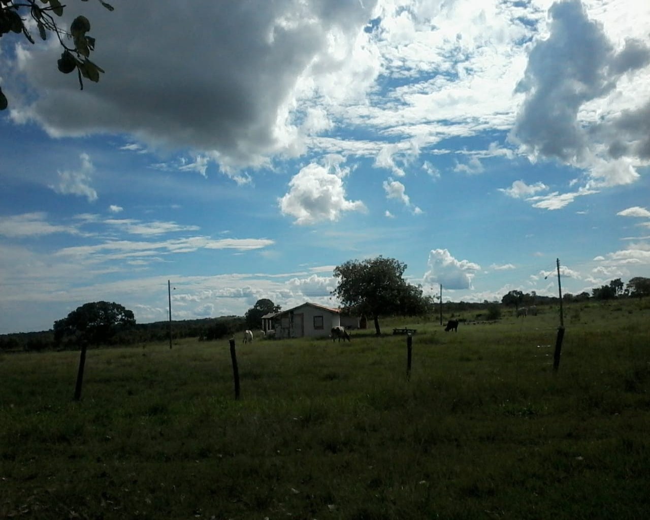 Chácara, 3 quartos, 50 m² - Foto 25
