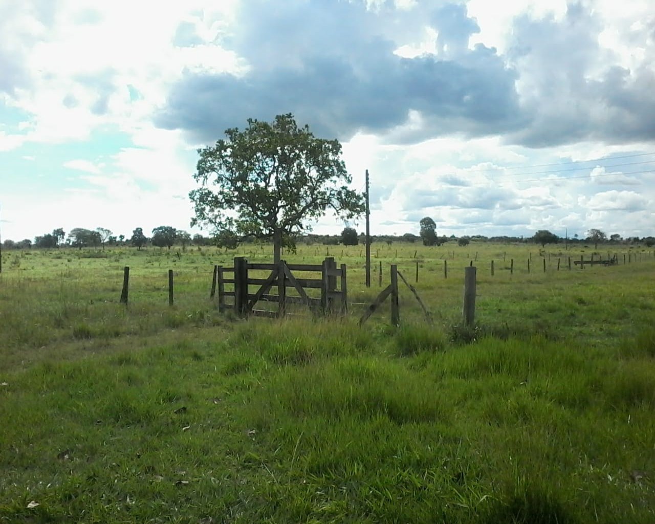 Chácara, 3 quartos, 50 m² - Foto 27