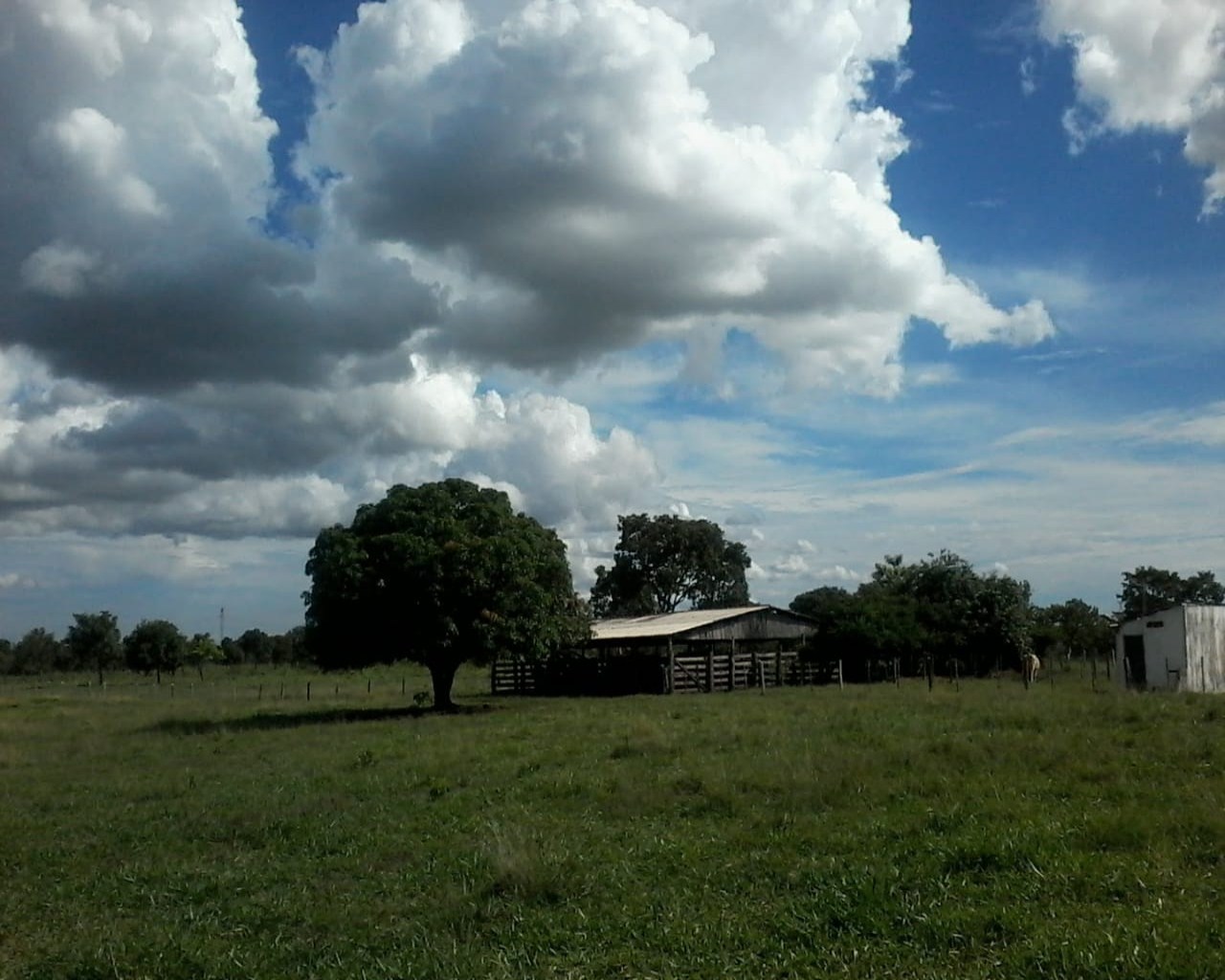Chácara, 3 quartos, 50 m² - Foto 30