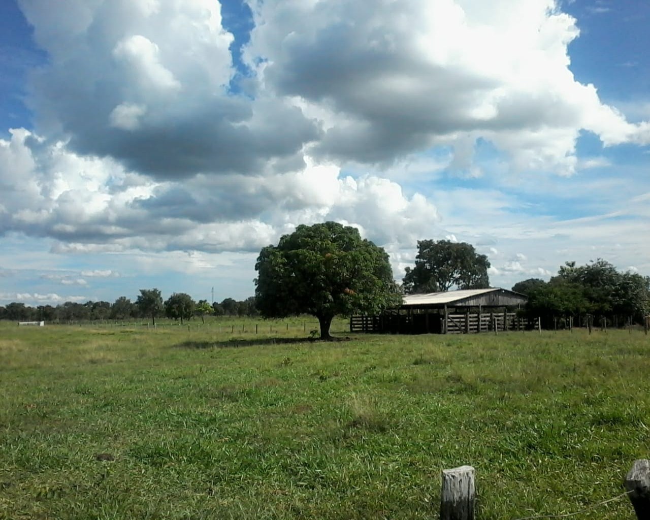 Chácara, 3 quartos, 50 m² - Foto 34