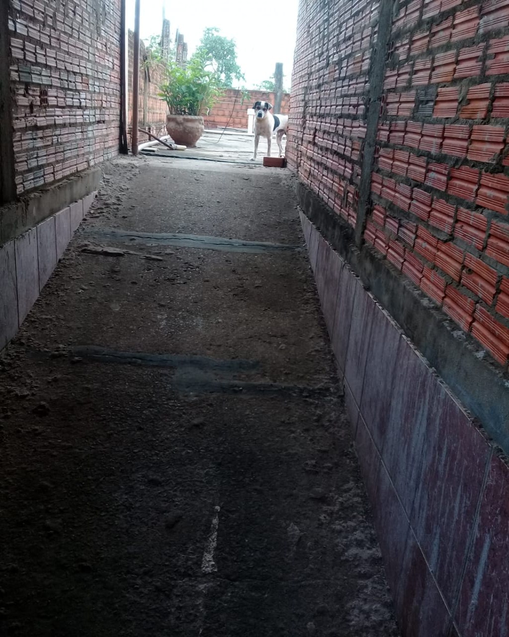 Sobrado, 4 quartos, 300 m² - Foto 15