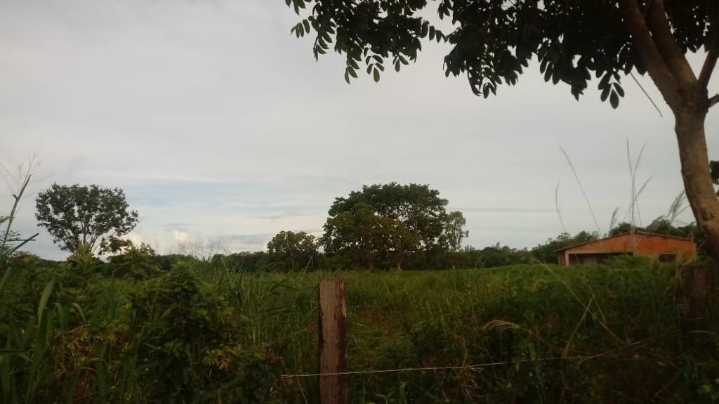 Chácara - Foto 7