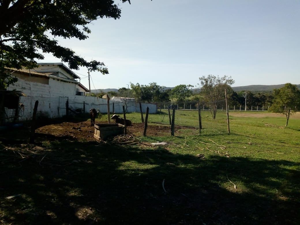 Chácara, 4 quartos - Foto 2