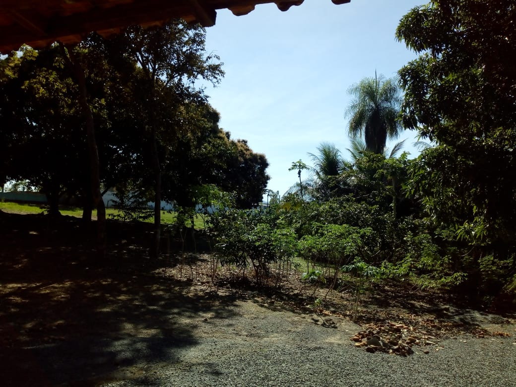 Chácara, 4 quartos - Foto 16