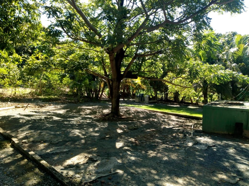 Chácara, 4 quartos - Foto 21