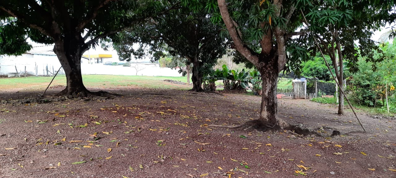 Chácara, 4 quartos - Foto 44