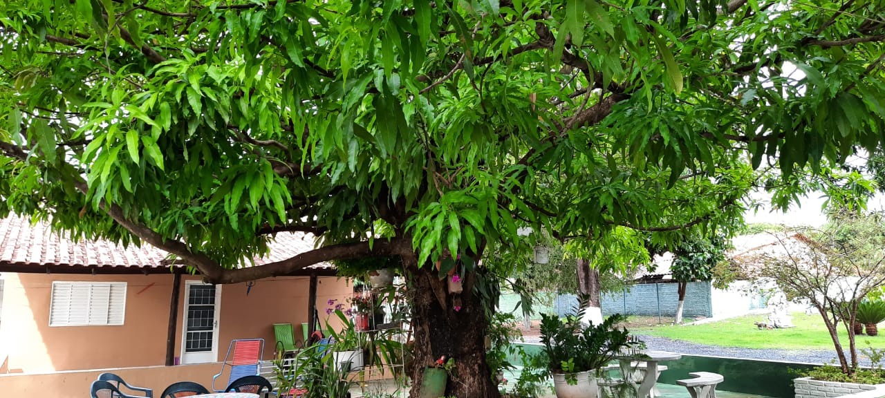 Chácara, 4 quartos - Foto 56