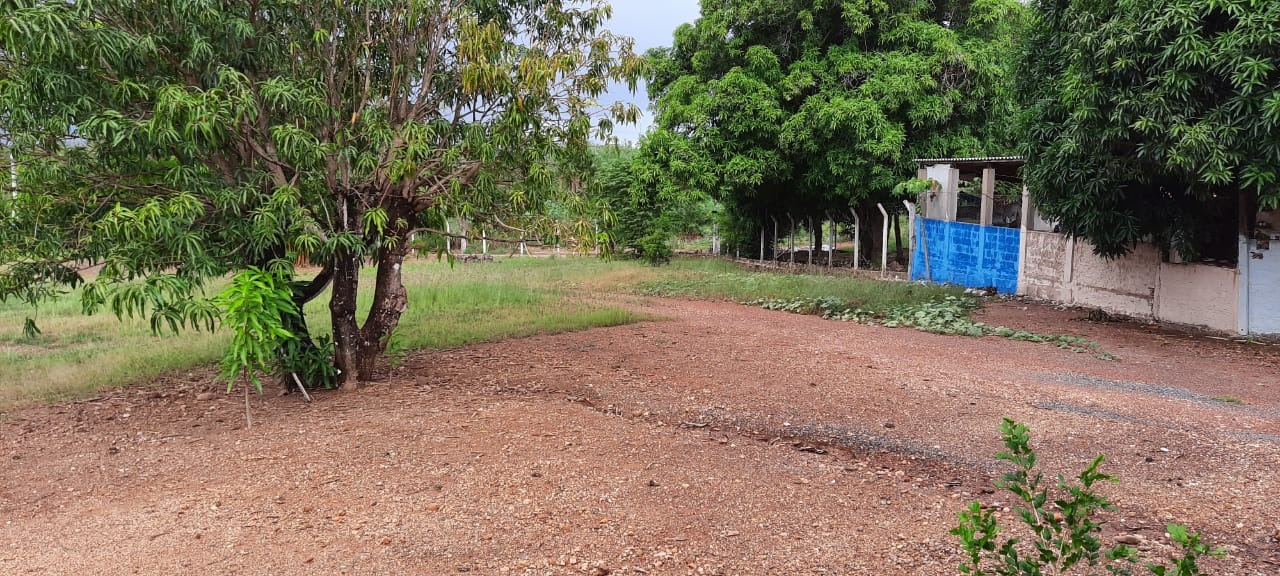 Chácara, 4 quartos - Foto 65
