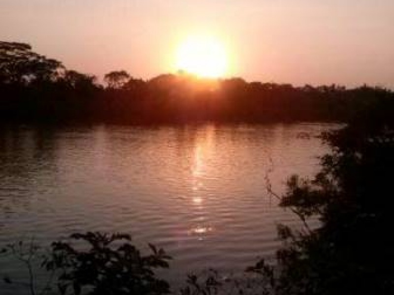Fazenda, 3 hectares - Foto 2