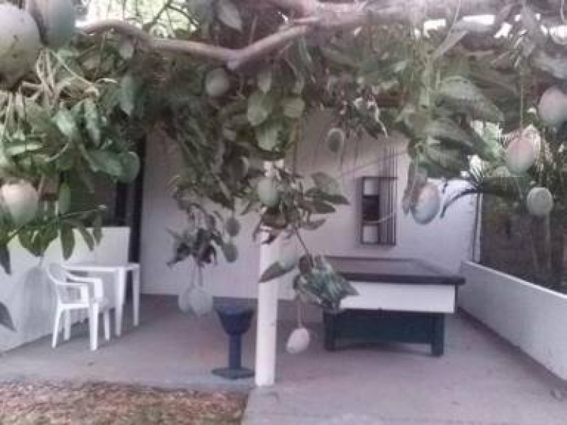 Fazenda, 3 hectares - Foto 4