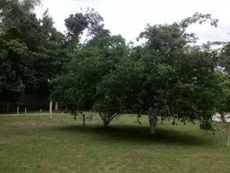 Fazenda, 3 hectares - Foto 9