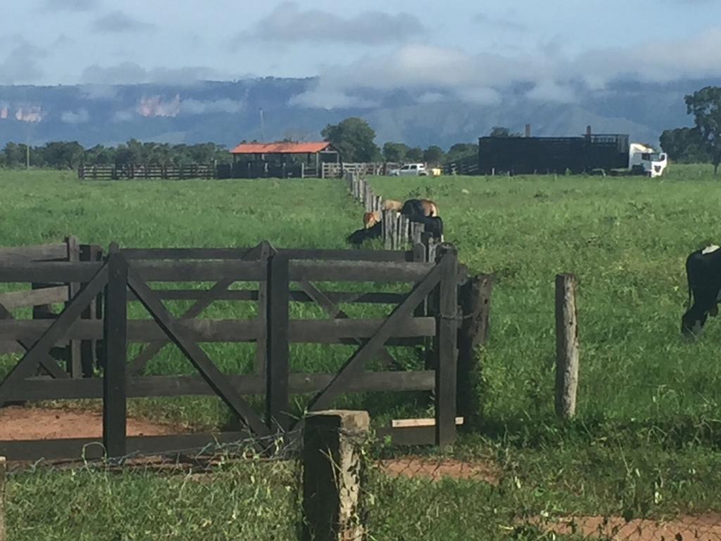 Fazenda, 4 quartos - Foto 2