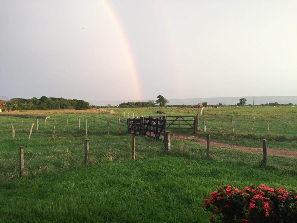 Fazenda, 4 quartos - Foto 4