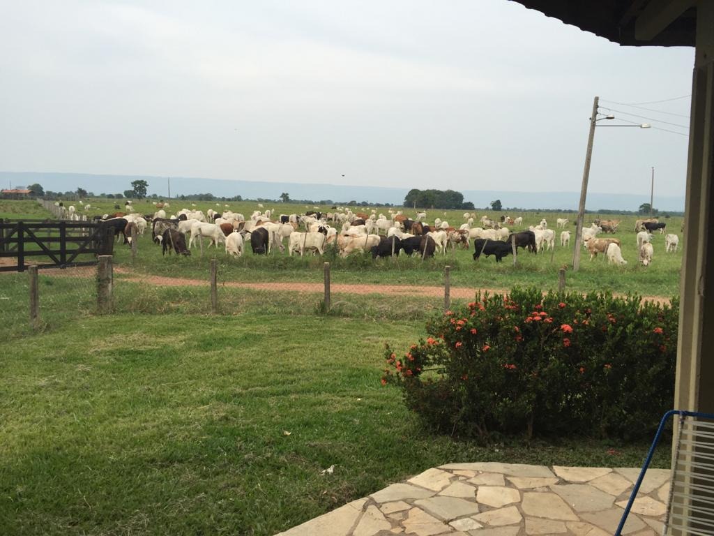 Fazenda, 4 quartos - Foto 11