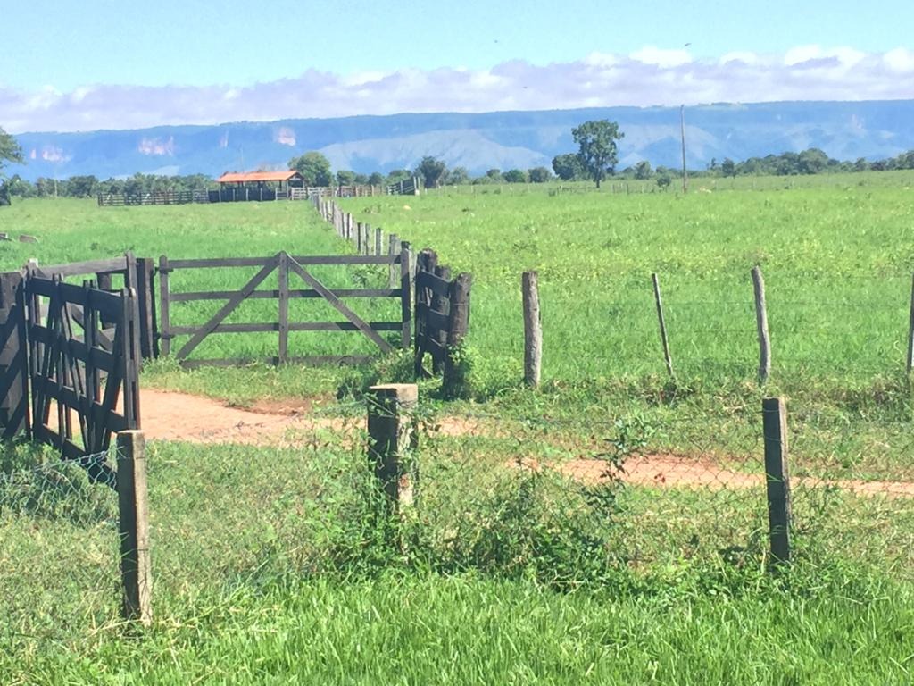 Fazenda, 4 quartos - Foto 12
