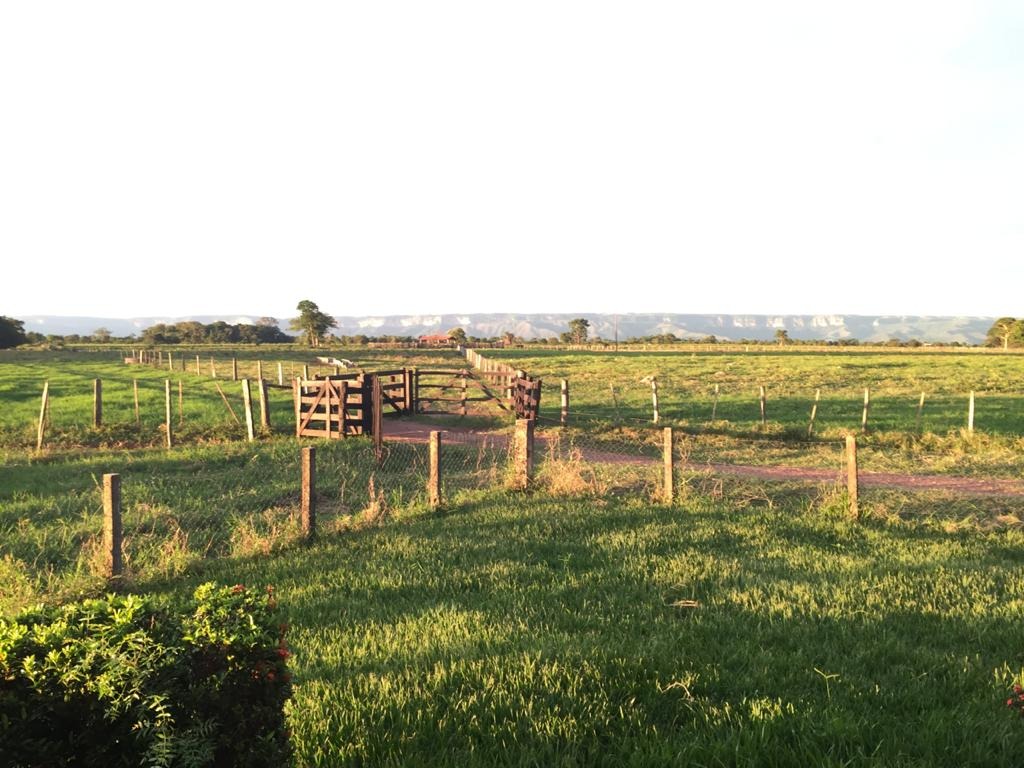 Fazenda, 4 quartos - Foto 13