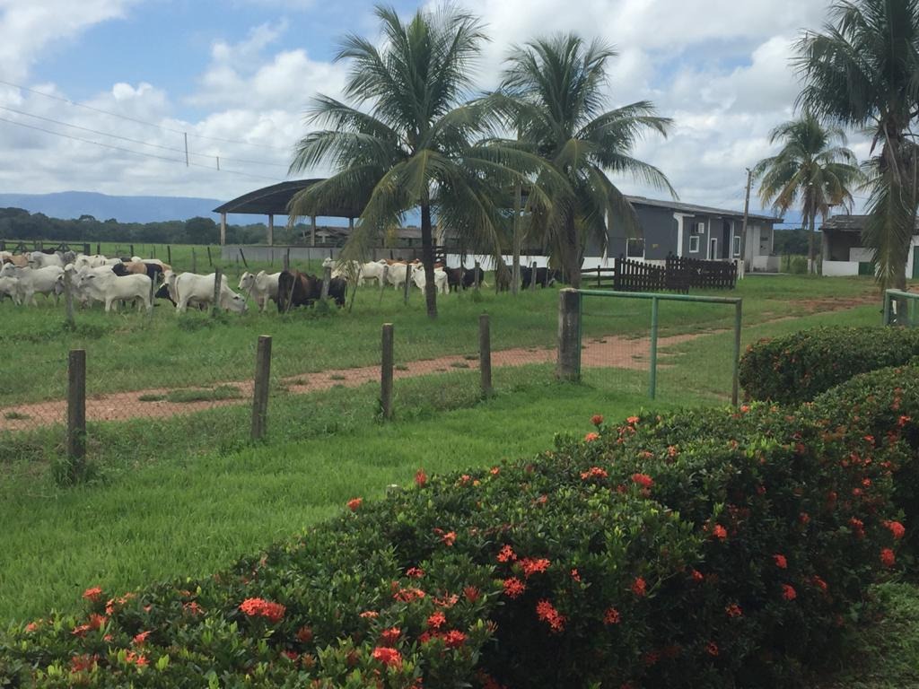 Fazenda, 4 quartos - Foto 15