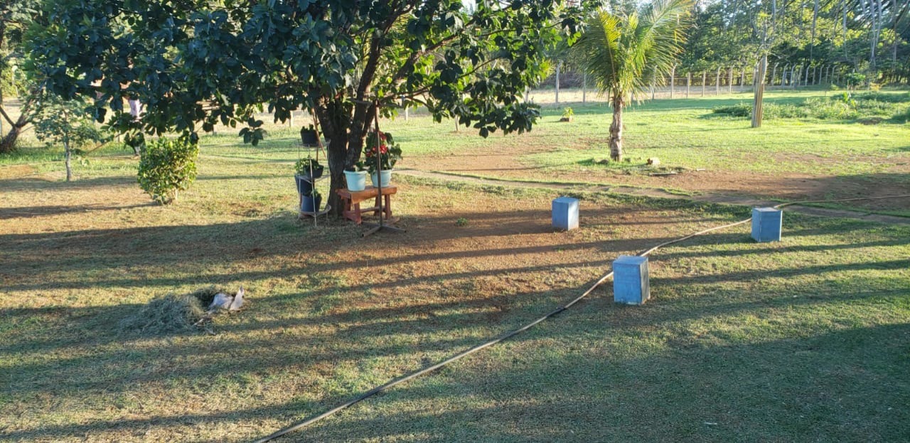 Chácara, 4 quartos - Foto 4