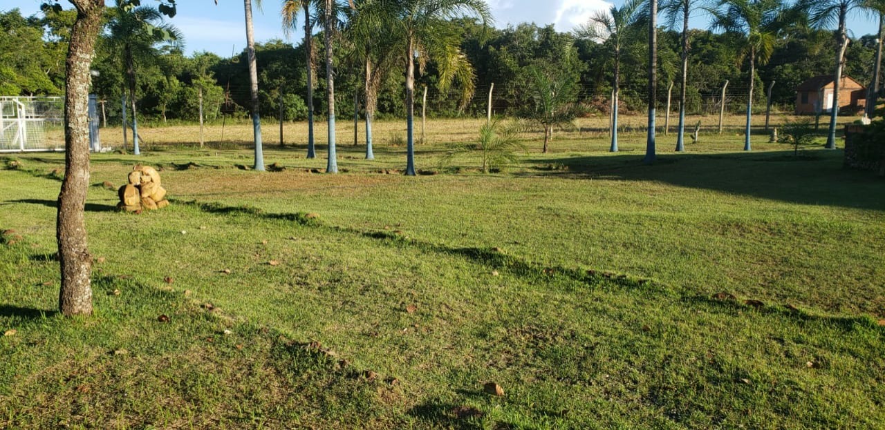 Chácara, 4 quartos - Foto 5