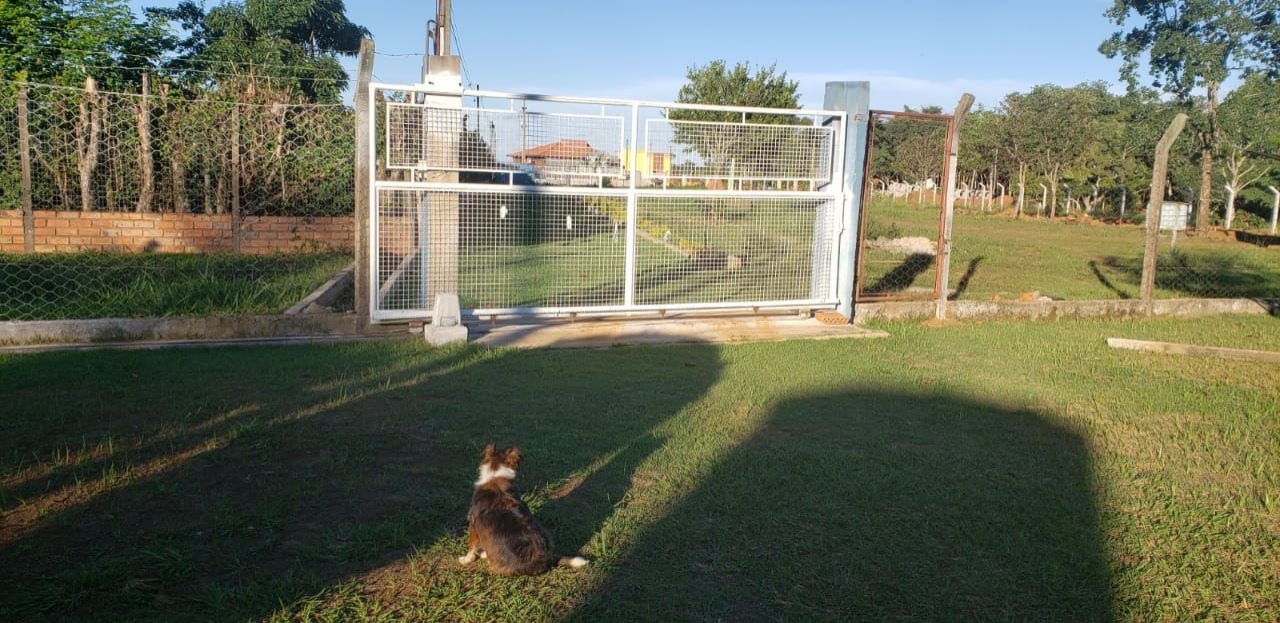 Chácara, 4 quartos - Foto 7