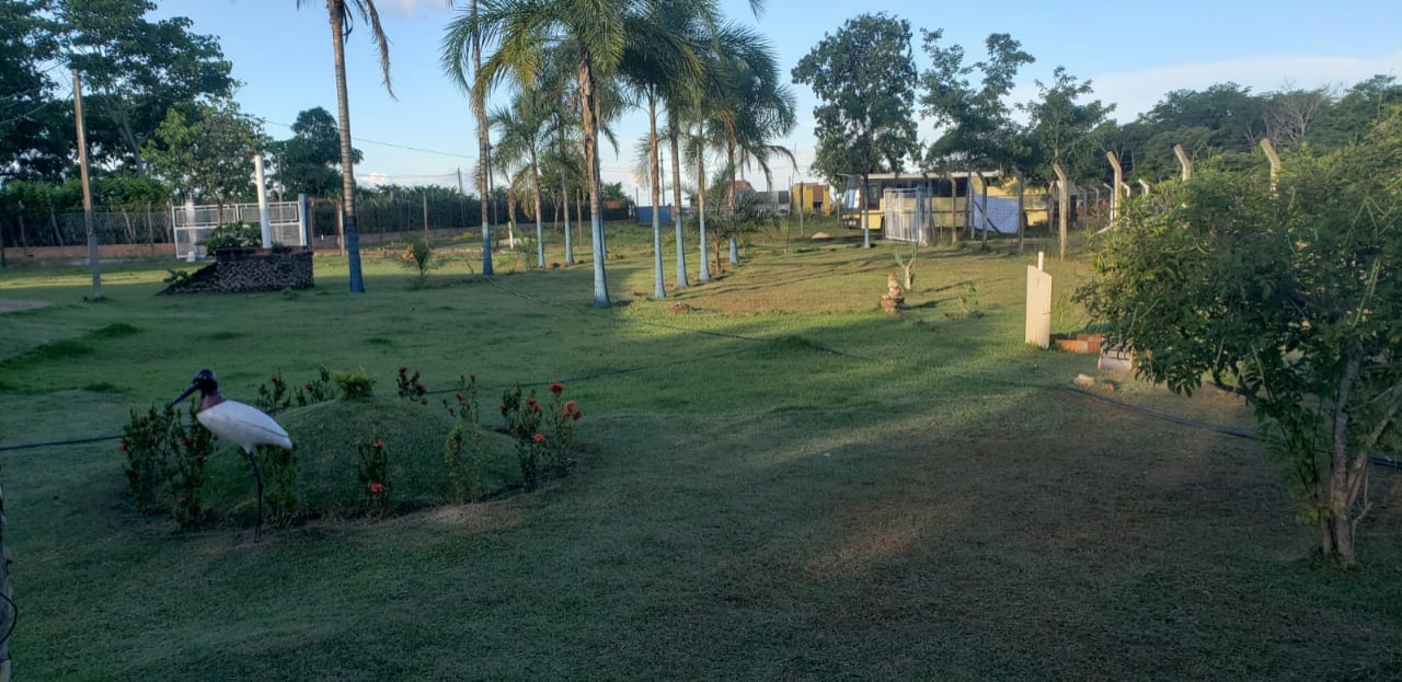 Chácara, 4 quartos - Foto 12