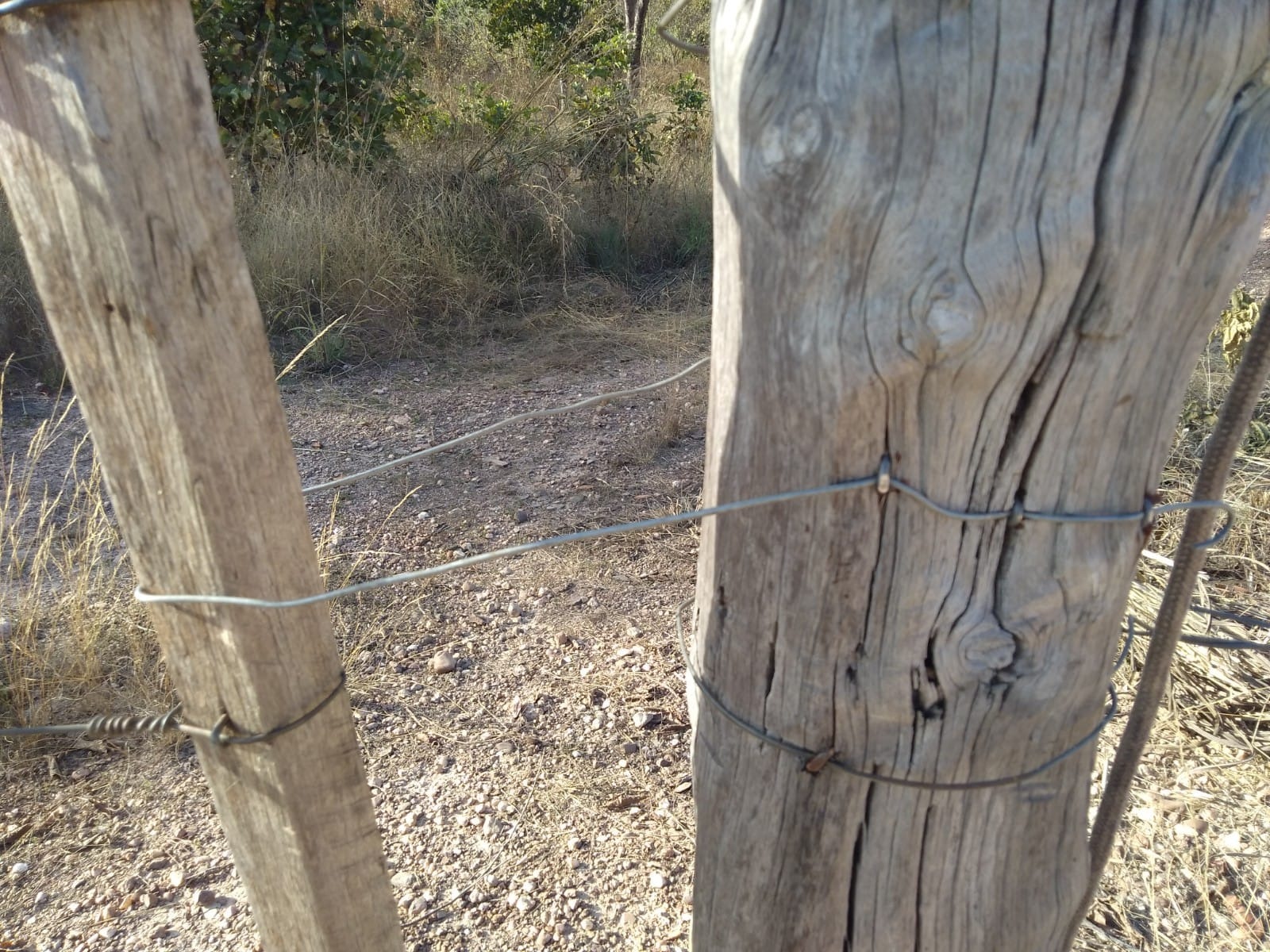 Terreno, 1 hectares - Foto 7