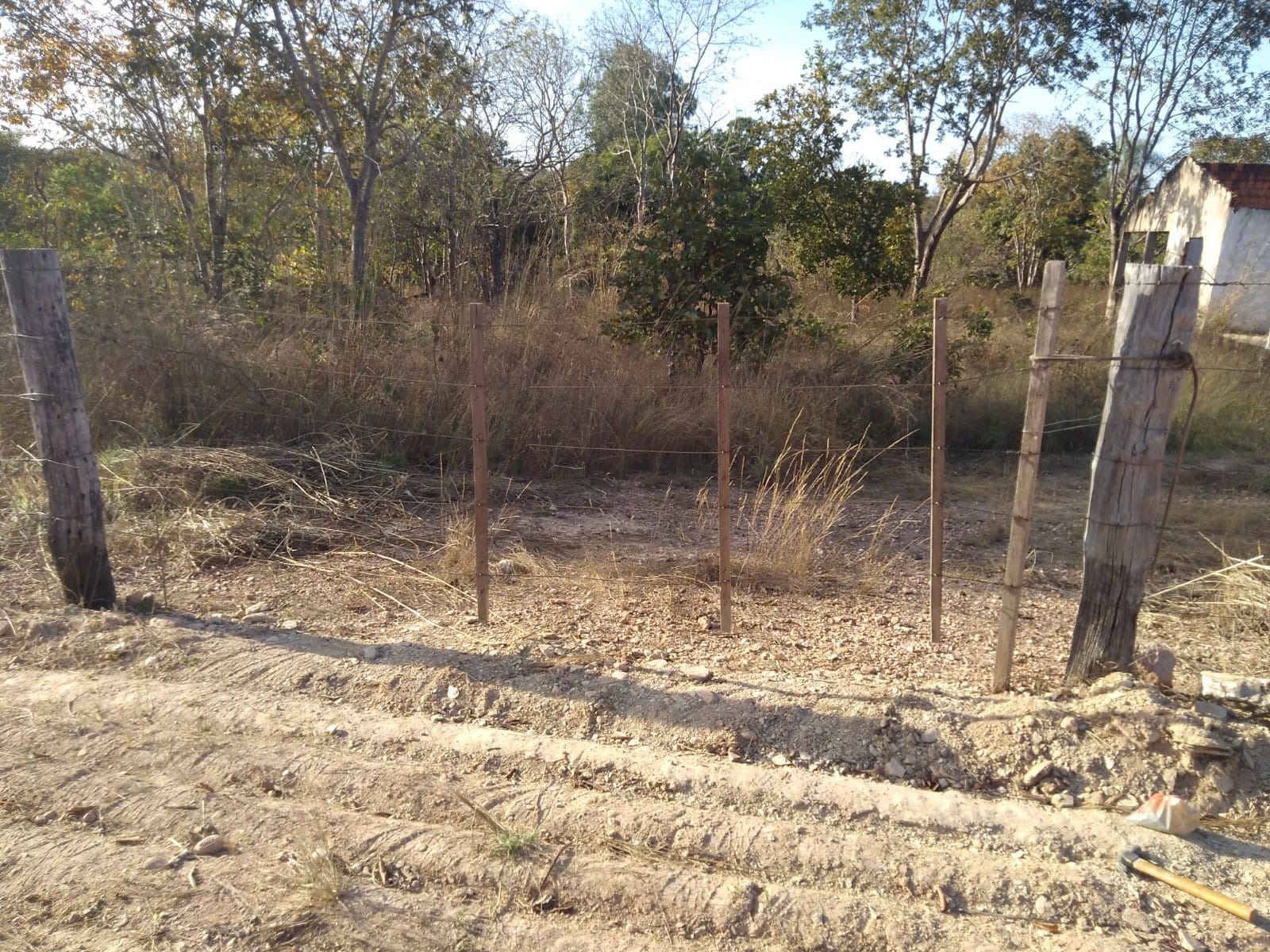 Terreno, 1 hectares - Foto 5