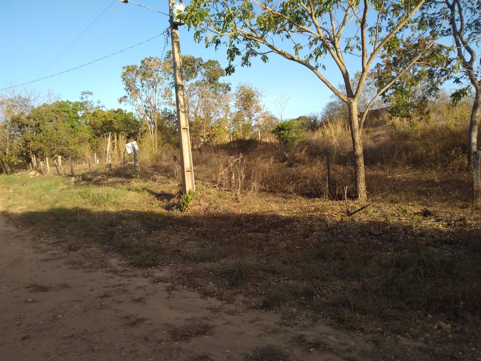 Terreno, 1 hectares - Foto 6