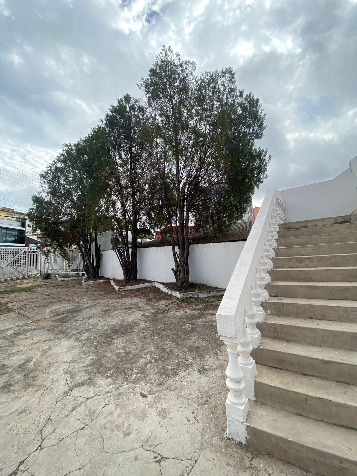 Sala-Conjunto - Foto 8
