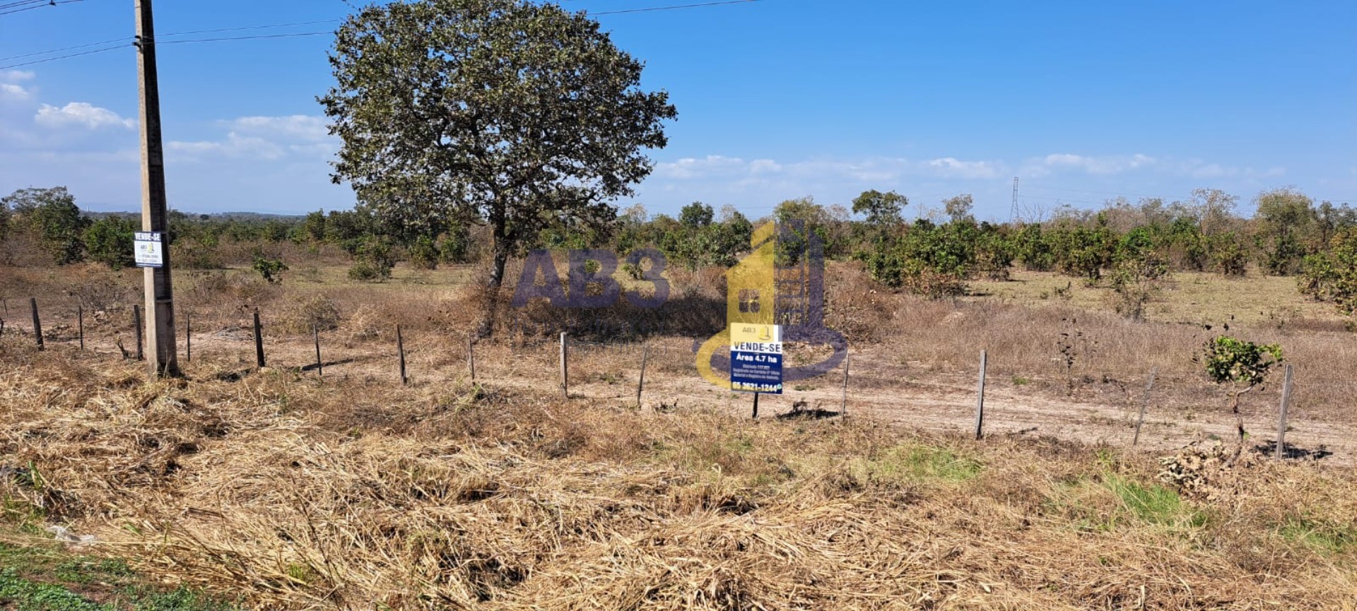 Terreno - Foto 5