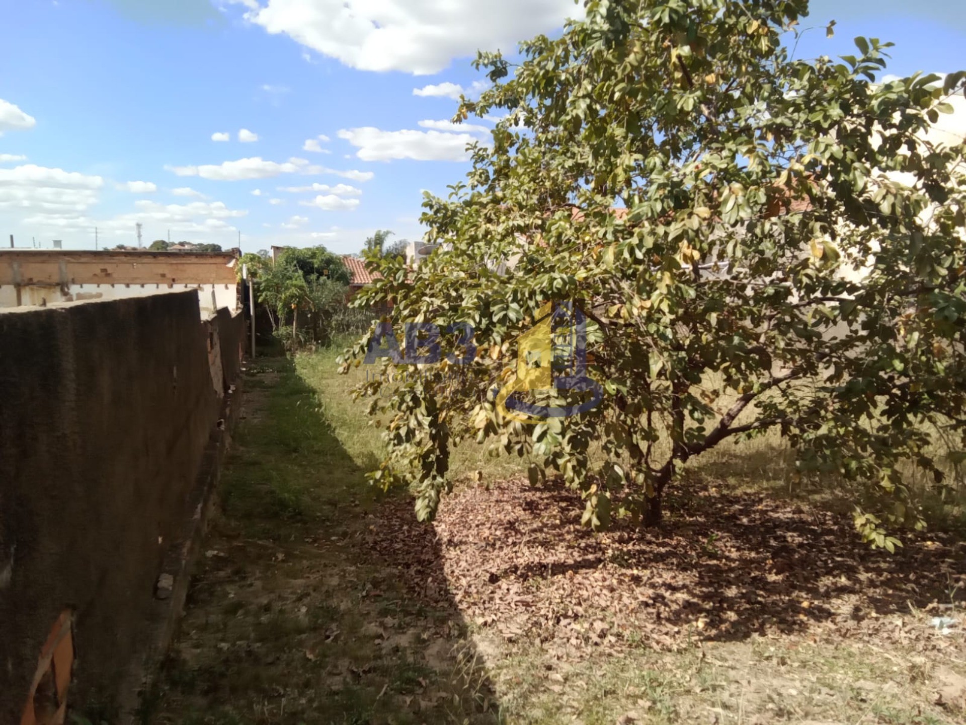 Terreno - Foto 2