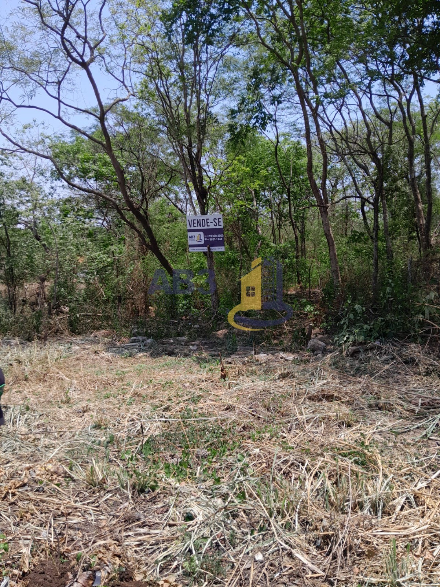 Terreno - Foto 7
