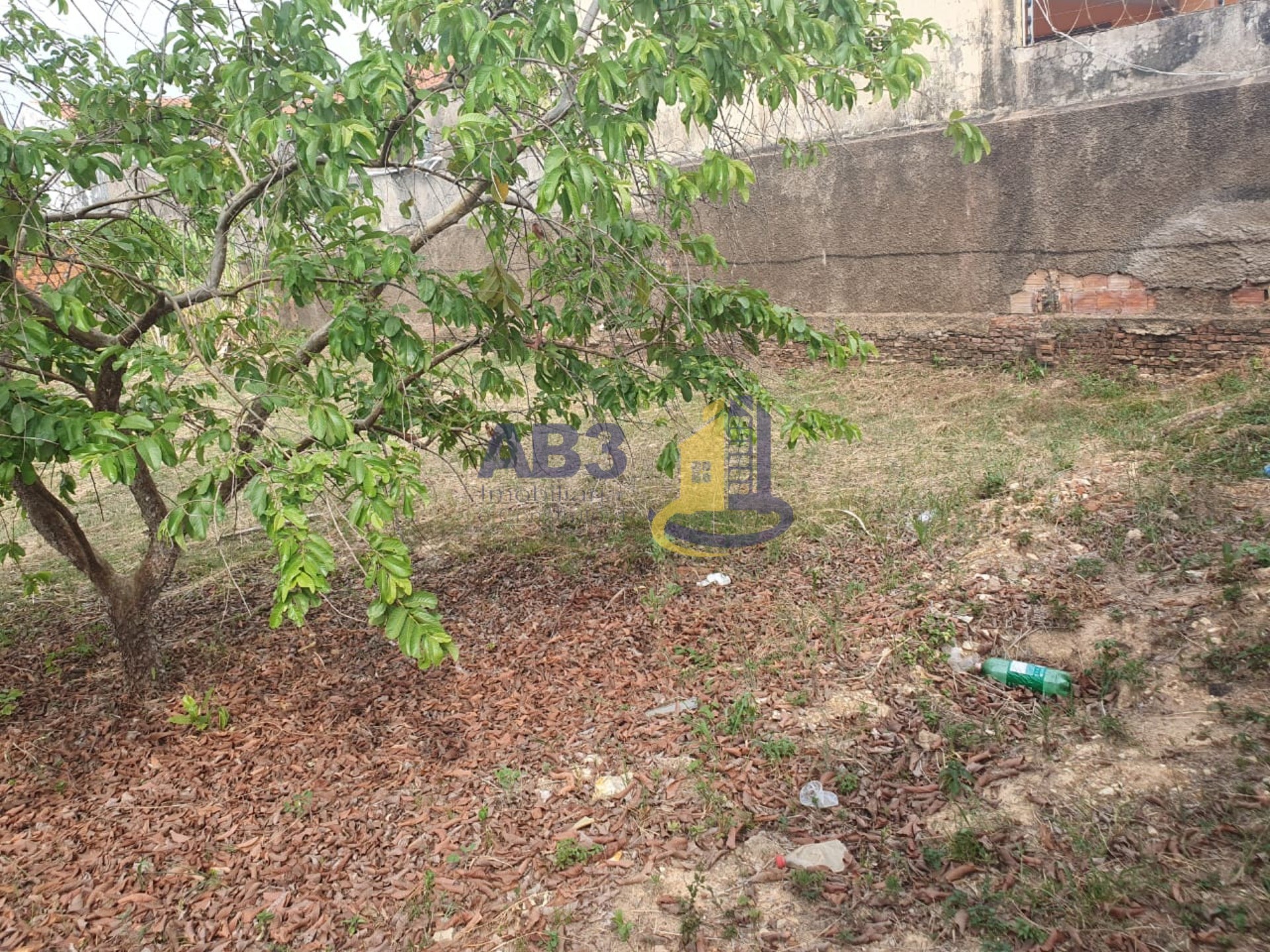 Terreno - Foto 3