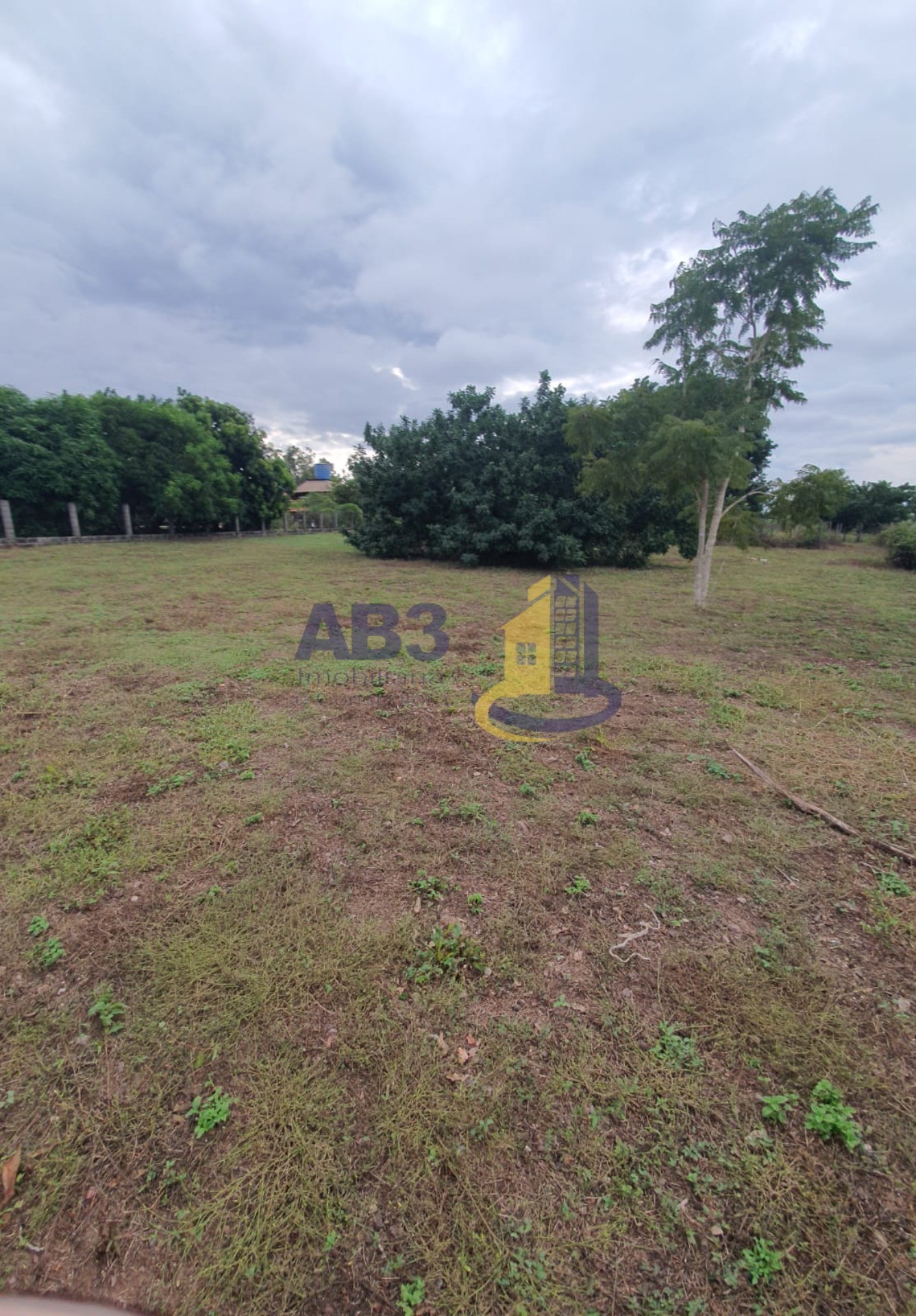 Chácara, 3 quartos, 2 hectares - Foto 28