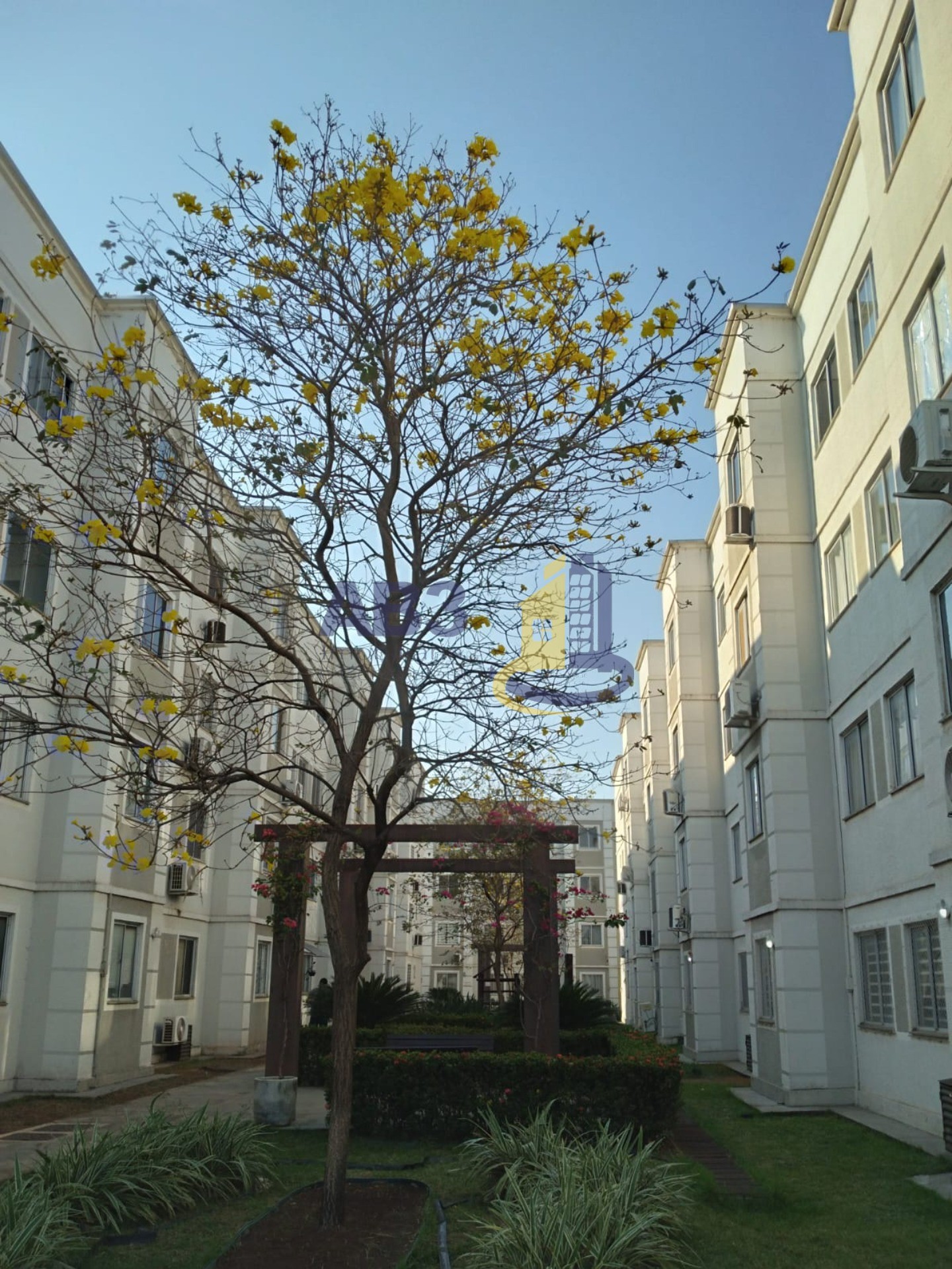 Apartamento, 2 quartos, 40 m² - Foto 6
