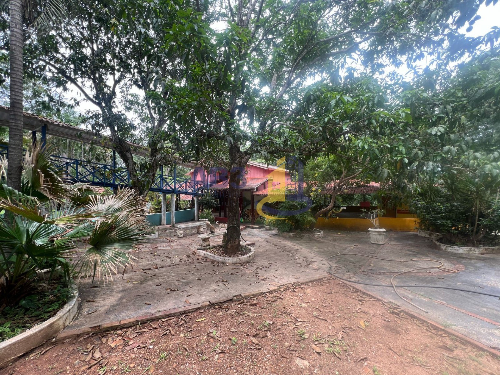 Chácara, 5 quartos, 6 m² - Foto 10