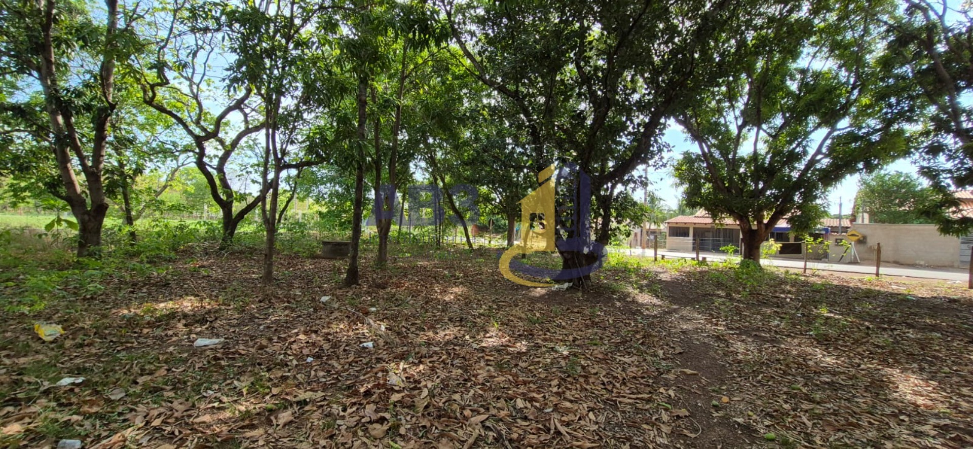 Chácara, 1 quarto, 1 m² - Foto 12