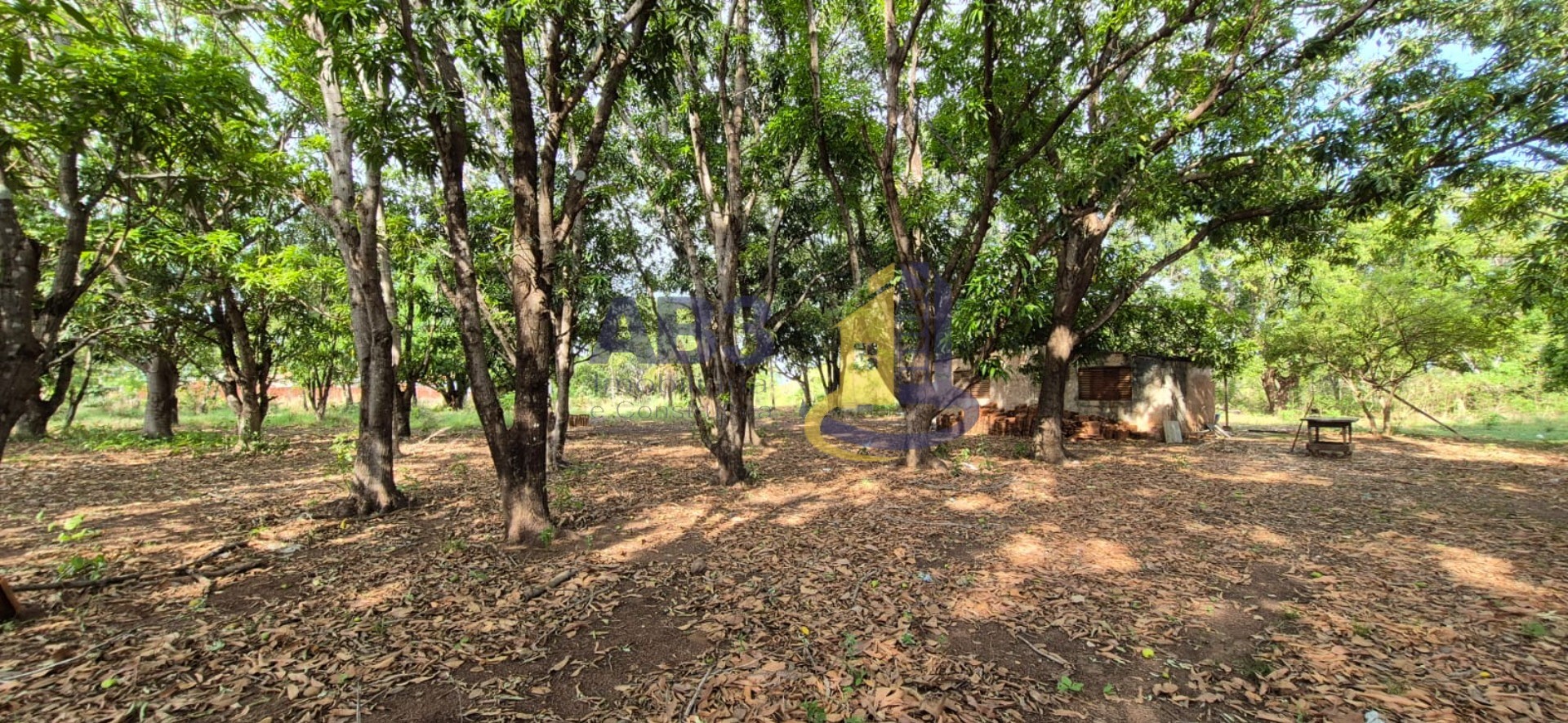Chácara, 1 quarto, 1 m² - Foto 11