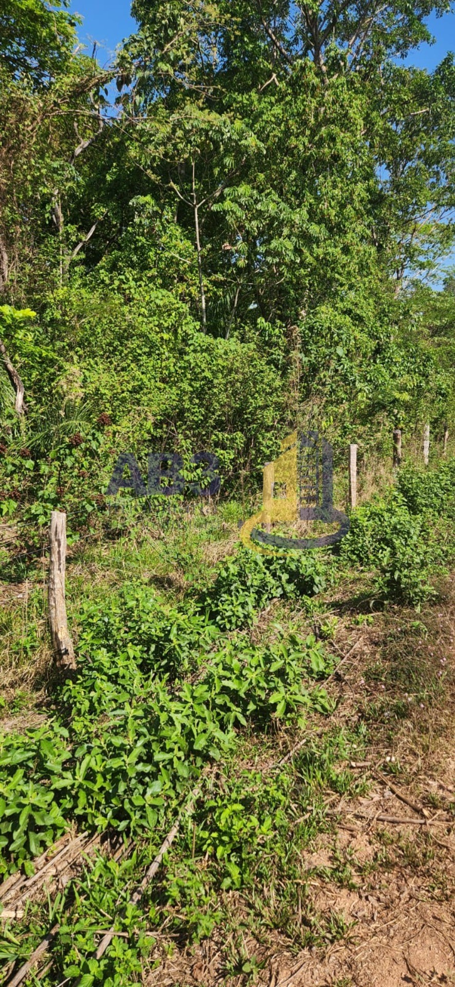 Fazenda, 81 m² - Foto 8